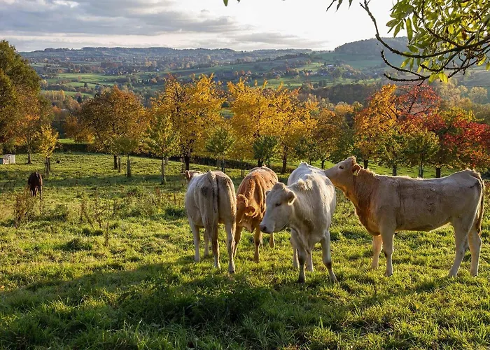 Detached In Reevallis