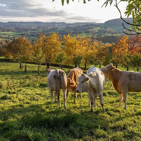 Detached In Reevallis