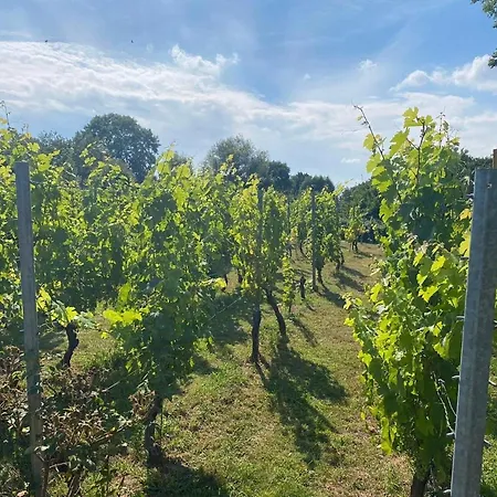 Casa de Férias Detached In Reevallis *